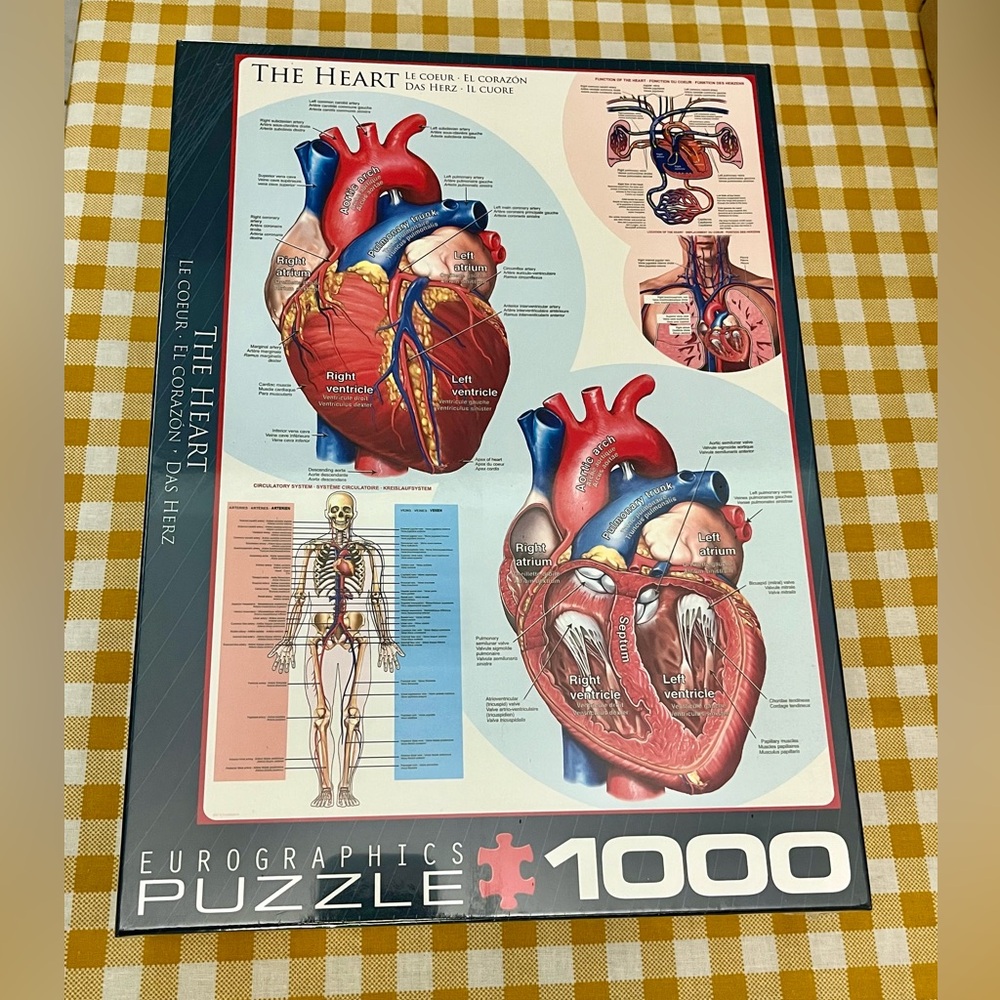 Eurographics Human Body The Heart 1000 Piece Puzzle